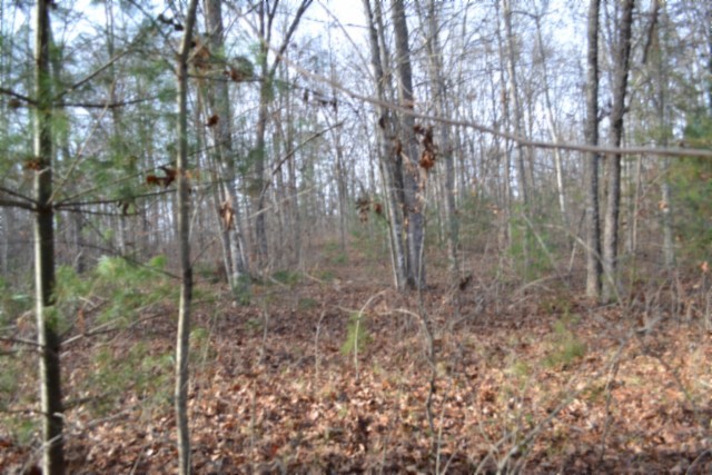 0 Shotgun Annie Road Jamestown TN 38556
