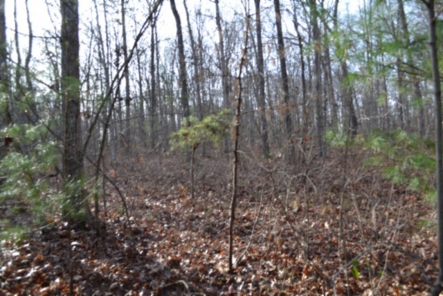 0 Shotgun Annie Road Jamestown TN 38556