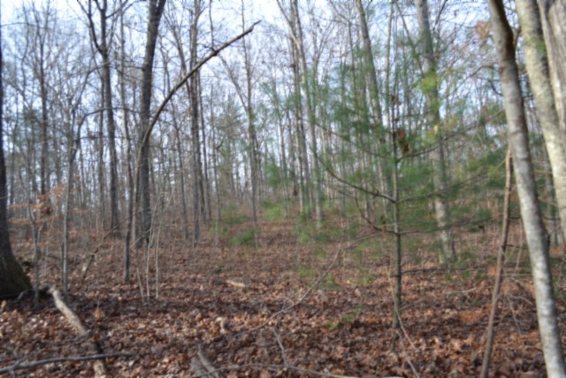 0 Shotgun Annie Road Jamestown TN 38556