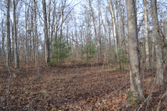 0 Shotgun Annie Road Jamestown TN 38556