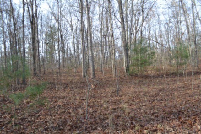 0 Shotgun Annie Road Jamestown TN 38556