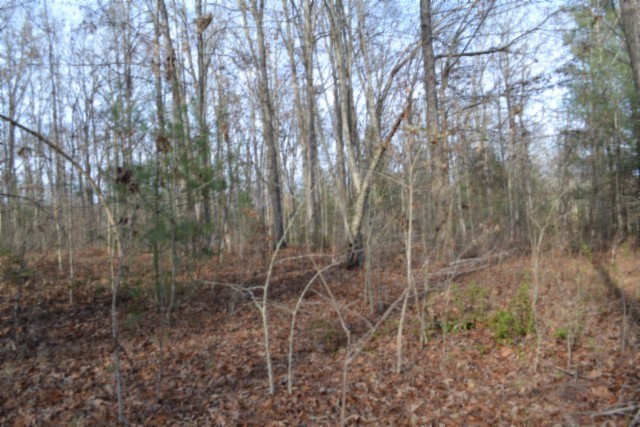 0 Shotgun Annie Road Jamestown TN 38556