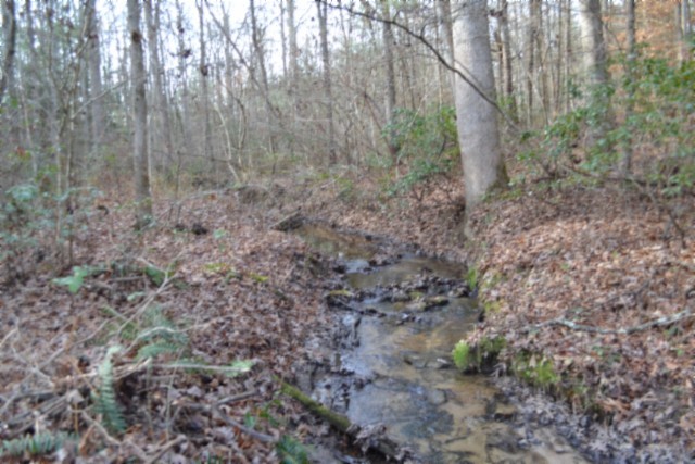 0 Shotgun Annie Road Jamestown TN 38556