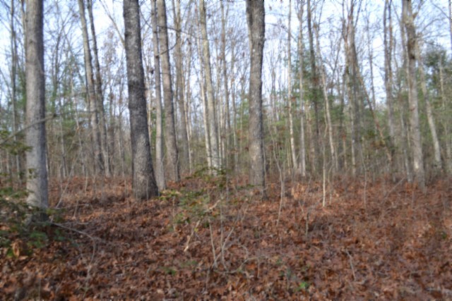 0 Shotgun Annie Road Jamestown TN 38556