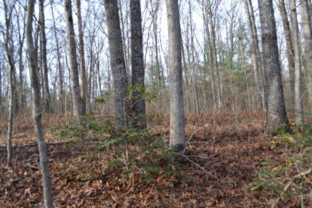 0 Shotgun Annie Road Jamestown TN 38556