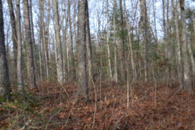 0 Shotgun Annie Road Jamestown TN 38556