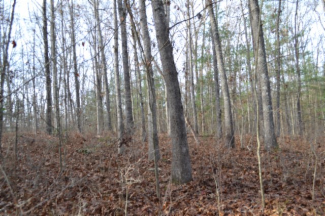 0 Shotgun Annie Road Jamestown TN 38556