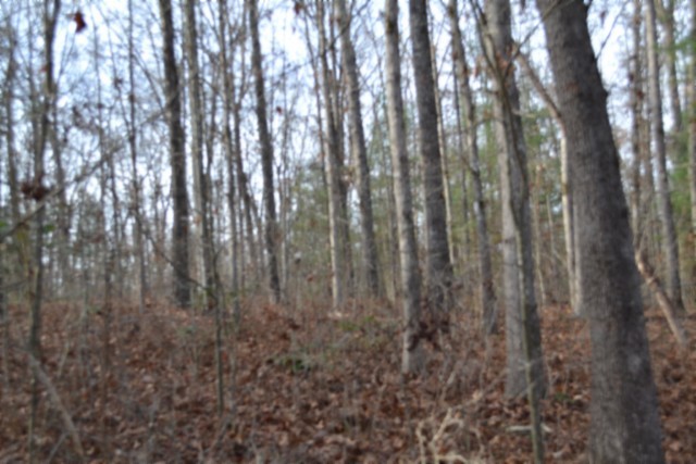 0 Shotgun Annie Road Jamestown TN 38556