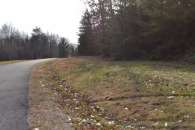 0 Shotgun Annie Road Jamestown TN 38556