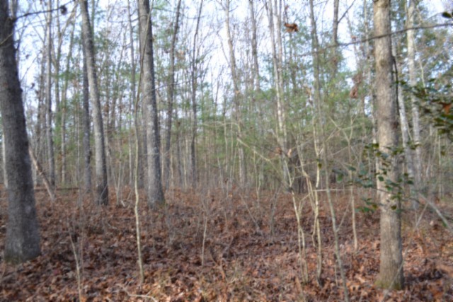 0 Shotgun Annie Road Jamestown TN 38556