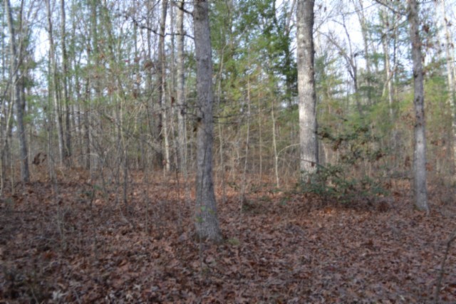0 Shotgun Annie Road Jamestown TN 38556
