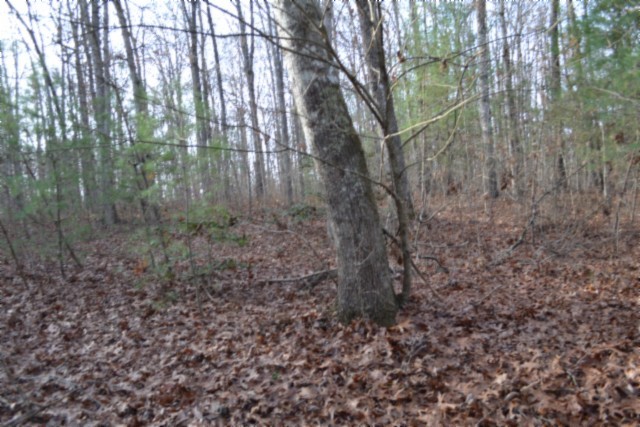 0 Shotgun Annie Road Jamestown TN 38556