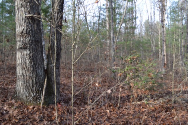 0 Shotgun Annie Road Jamestown TN 38556