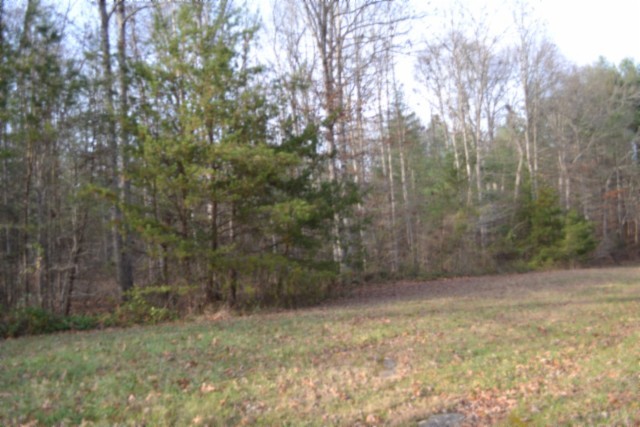 0 Shotgun Annie Road Jamestown TN 38556
