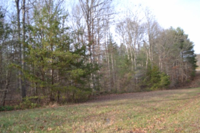 0 Shotgun Annie Road Jamestown TN 38556