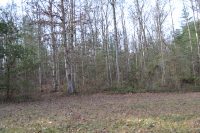 0 Shotgun Annie Road Jamestown TN 38556