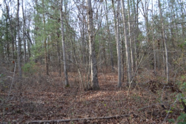 0 Shotgun Annie Road Jamestown TN 38556
