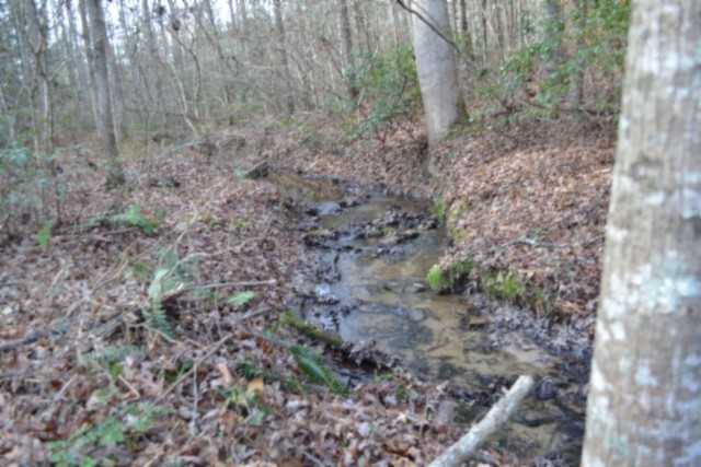 0 Shotgun Annie Road Jamestown TN 38556