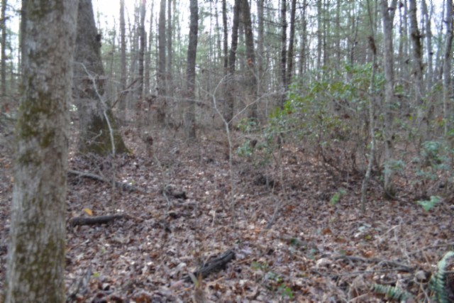 0 Shotgun Annie Road Jamestown TN 38556