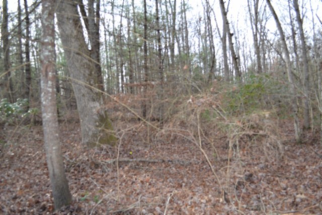 0 Shotgun Annie Road Jamestown TN 38556