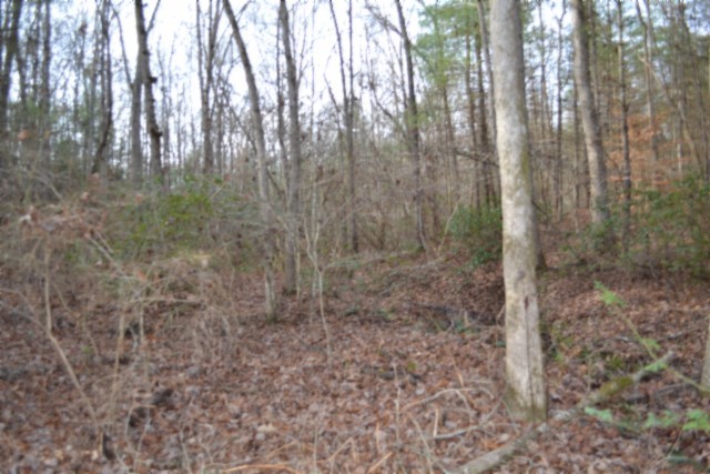 0 Shotgun Annie Road Jamestown TN 38556