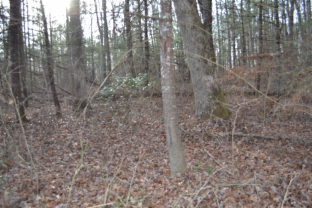 0 Shotgun Annie Road Jamestown TN 38556