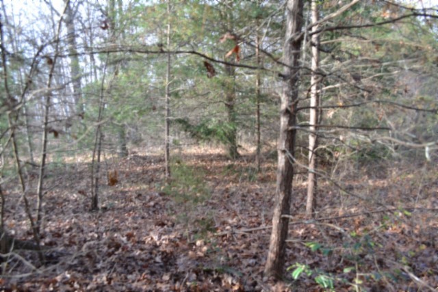 0 Shotgun Annie Road Jamestown TN 38556