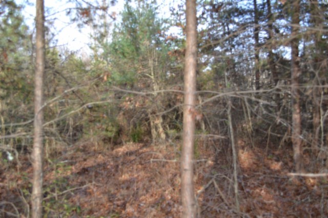 0 Shotgun Annie Road Jamestown TN 38556