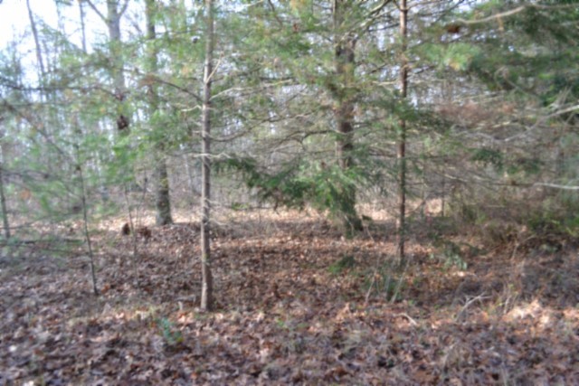0 Shotgun Annie Road Jamestown TN 38556