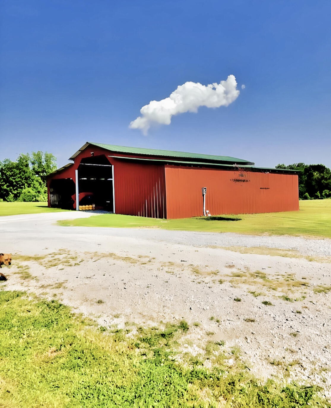 875 Old Stage Spring City TN 37381