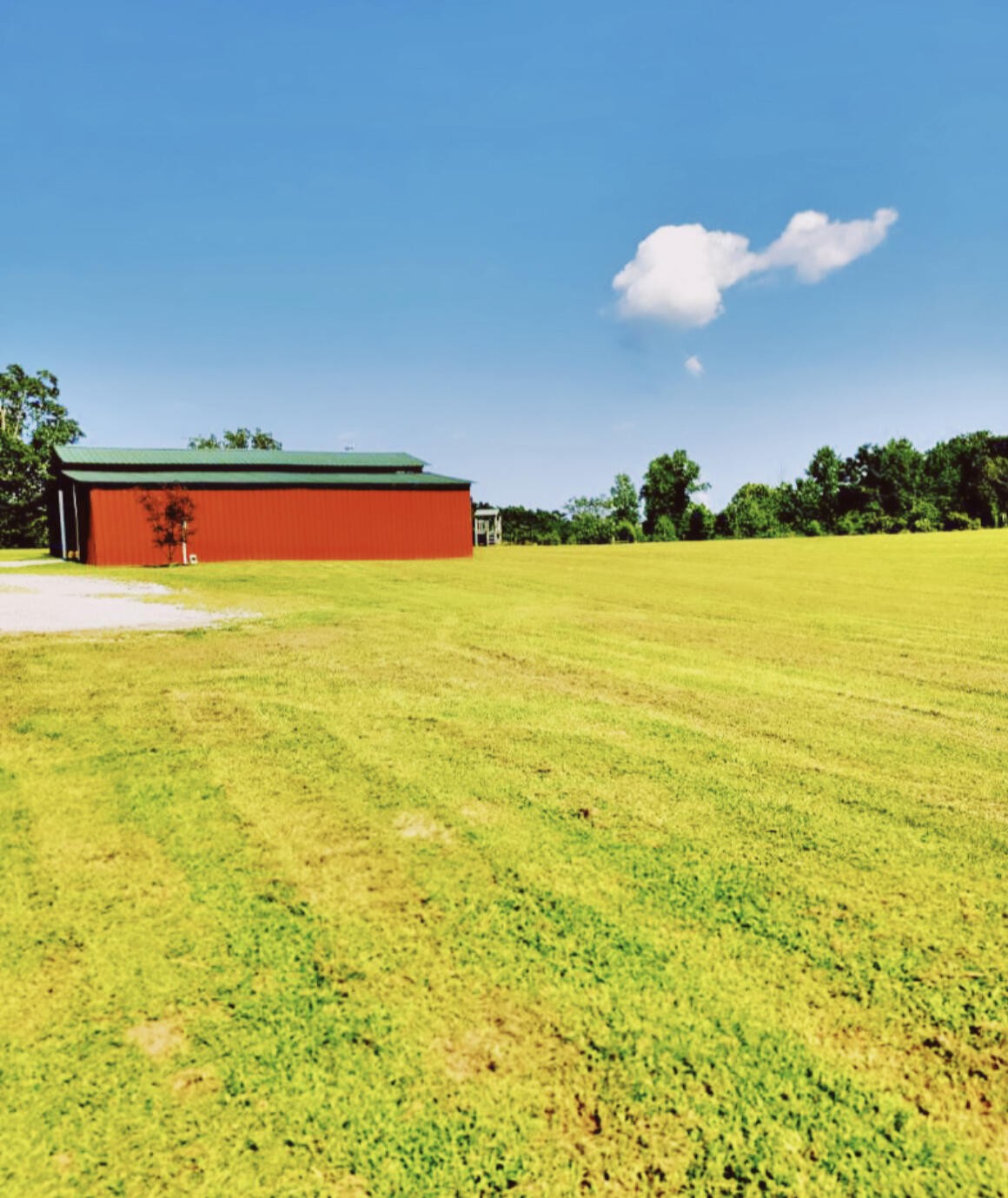 875 Old Stage Spring City TN 37381
