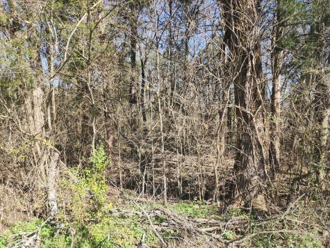 0 Haywood Hollow Road Columbia TN 38401
