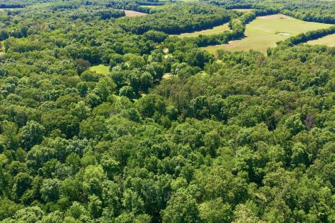 8932 Mount Carmel Road Decaturville TN 38329