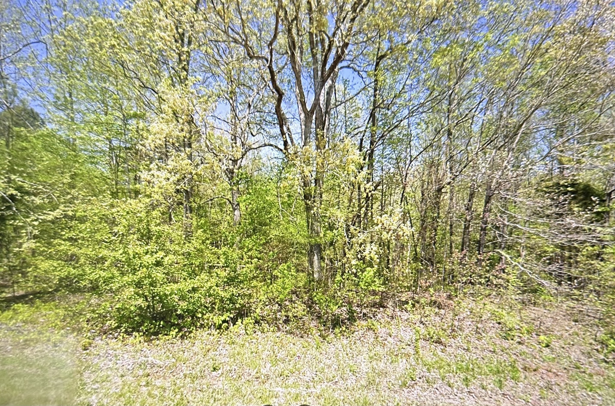 2024 Powdermill Hill Road Lawrenceburg TN 38464