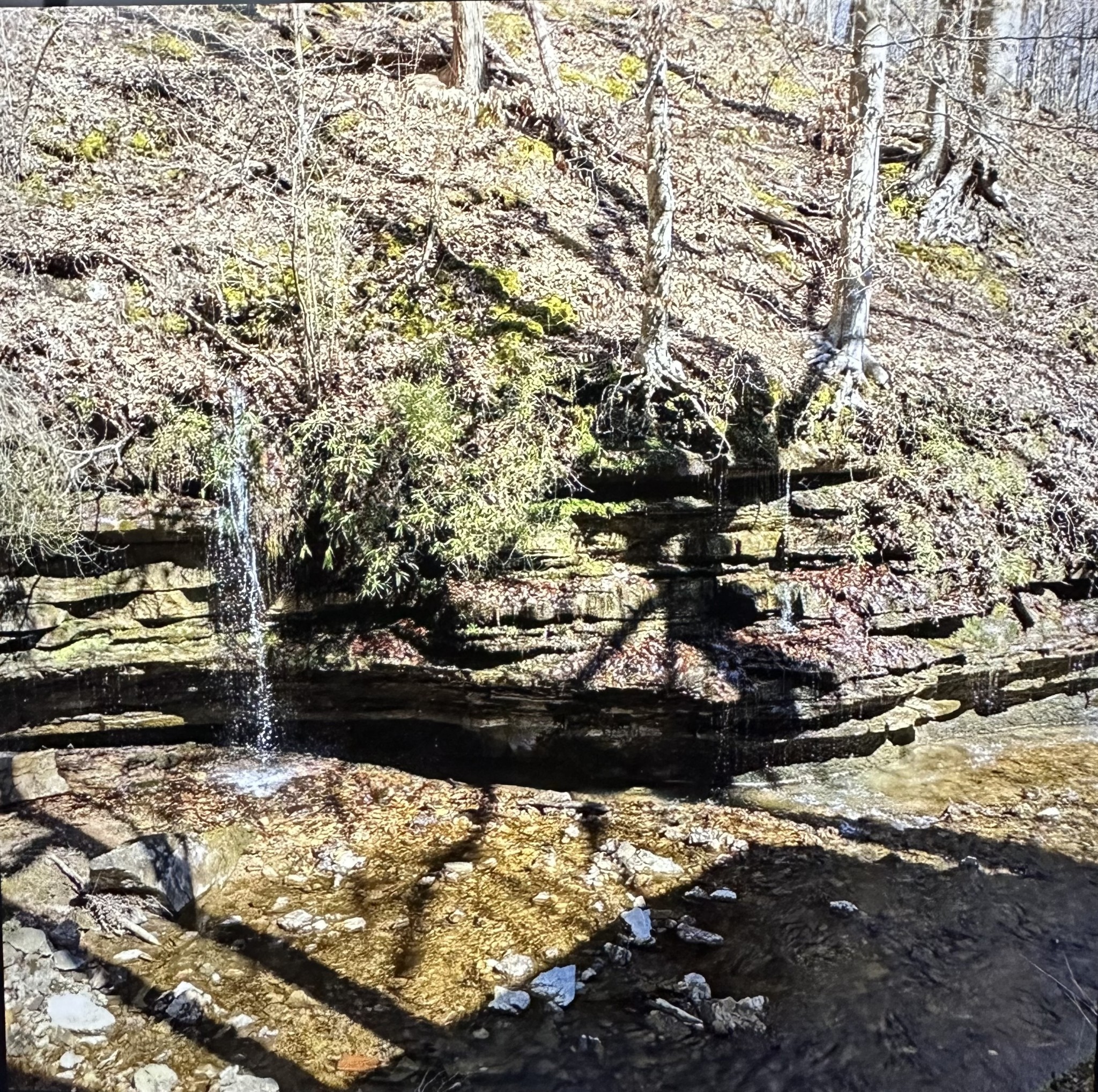 2024 Powdermill Hill Road Lawrenceburg TN 38464