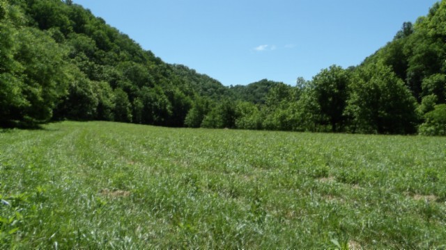 5155 Brimstone Creek Road Moss TN 38575