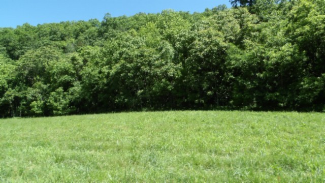 5155 Brimstone Creek Road Moss TN 38575