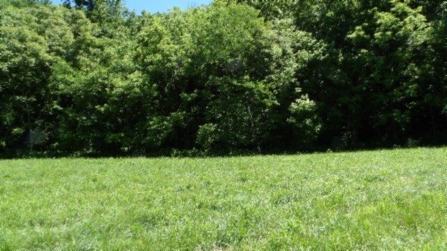 5155 Brimstone Creek Road Moss TN 38575