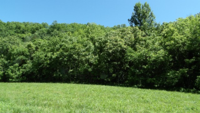 5155 Brimstone Creek Road Moss TN 38575