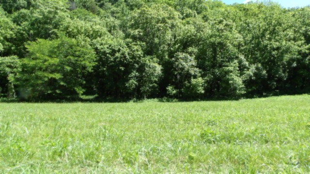 5155 Brimstone Creek Road Moss TN 38575