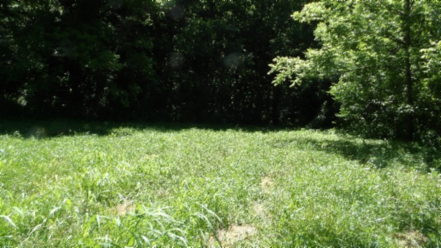 5155 Brimstone Creek Road Moss TN 38575