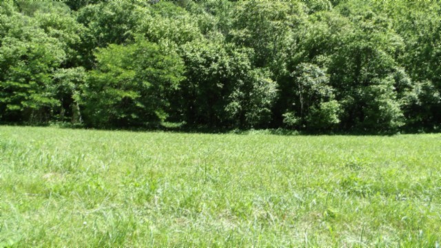 5155 Brimstone Creek Road Moss TN 38575