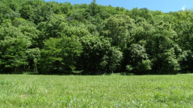 5155 Brimstone Creek Road Moss TN 38575