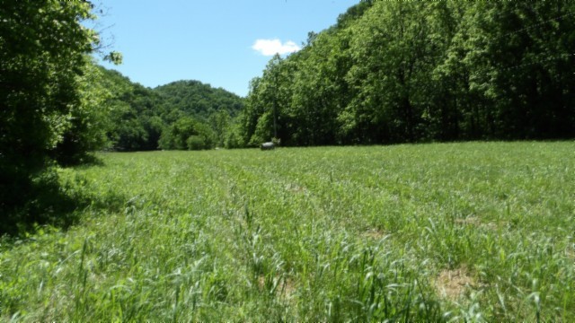 5155 Brimstone Creek Road Moss TN 38575