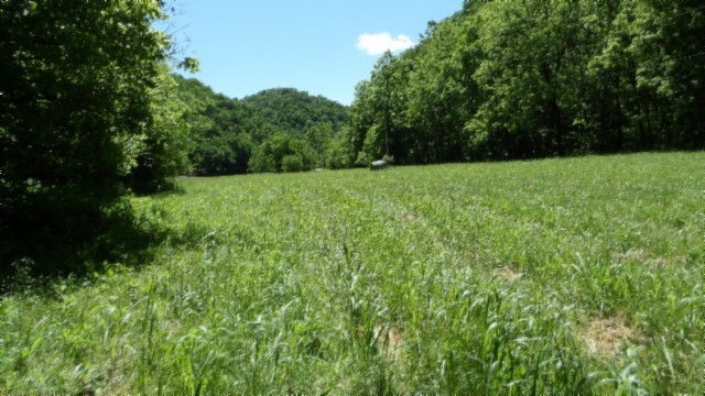 5155 Brimstone Creek Road Moss TN 38575