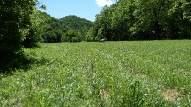 5155 Brimstone Creek Road Moss TN 38575
