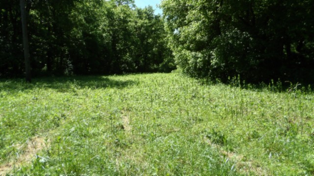 5155 Brimstone Creek Road Moss TN 38575
