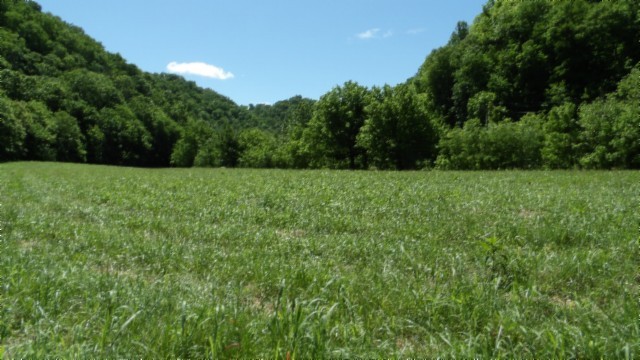 5155 Brimstone Creek Road Moss TN 38575