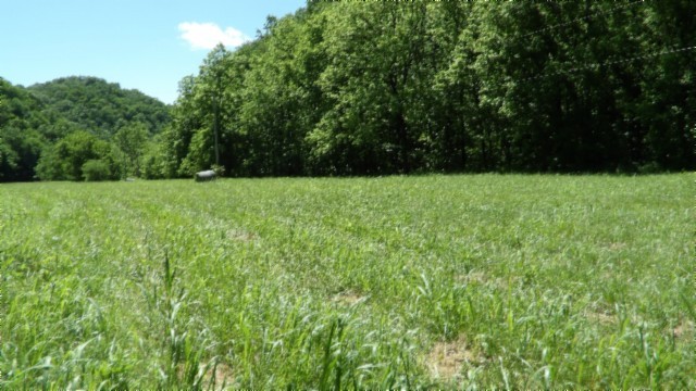 5155 Brimstone Creek Road Moss TN 38575