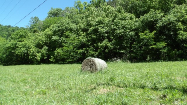 5155 Brimstone Creek Road Moss TN 38575